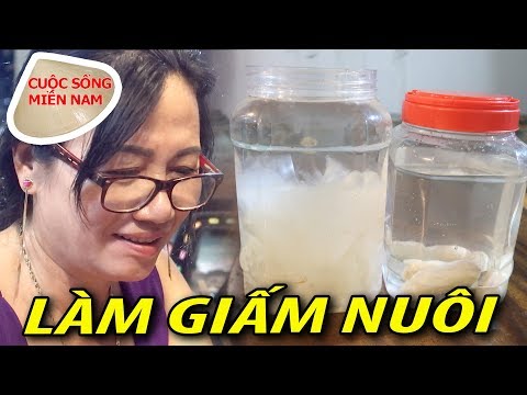 Làm giấm nuôi bằng chuối và mẹo những món ăn Nam Việt 762