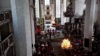 Jim Malcolm Singing At The Rudolstadt Folk Festival, 2017
