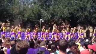 Tiger Girls