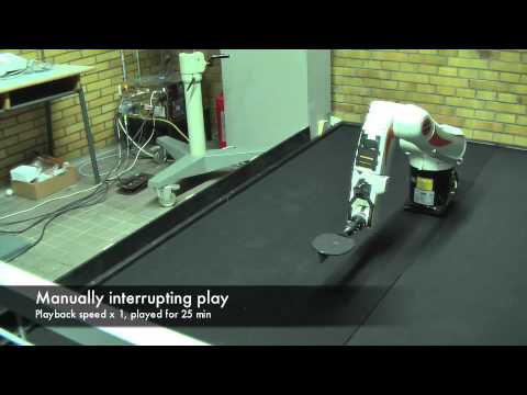 Robot catching and Juggling a Ping Pong Ball - Demo