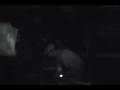 2009AZLaptopBattle Round 2 - Metrognome