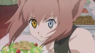 ?AMV? Dragon Crisis Don't Stop