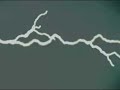 Decoded Feedback - RELIC