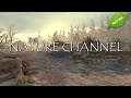 Channel