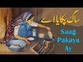 Poetry Saag Pakaya ay By Saeed Aslam | Punjabi Shayari by whatsapp status 2020