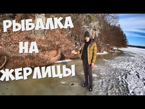 РЫБАЛКА НА ЖЕРЛИЦЫ НА КРУЖКИ ГОТОВЛЮ ЖУЛЬЕН РЫБАЛКА НА ЖЕРЛИЦЫ НА КРУЖКИ ГОТОВЛЮ ЖУЛЬЕН