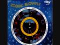 Blowfly - Aries