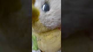 Skibidi Filin 3