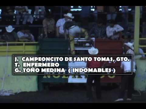 MUSICA EN WMV musica en wmv: