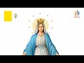 ජපමාලය holy rosary සොම්නස් අභිරහස joyful mysteries | සදුදා සහ සෙනසුරාදා ✝️