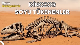 Dinozorların Yok Oluş Hikâyesi Türkçe Dublaj Belgesel