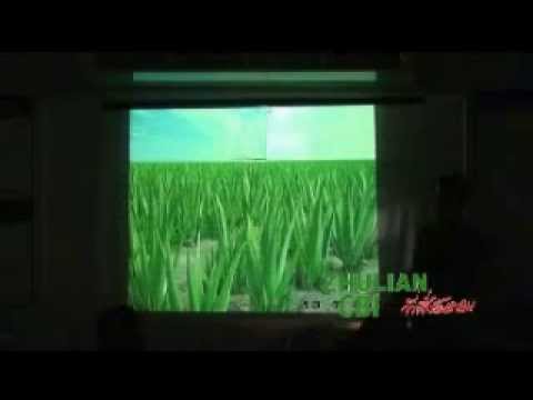 เวกิ เวร่า 1 YouTube