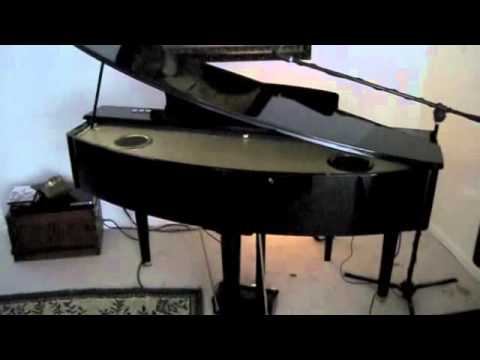 Suzuki Digital Grand Ensemble Hg E Piano Suzuki Digital Grand Ensemble Hg E Piano