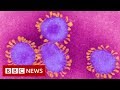 Coronavirus: World in 'uncharted territory' - BBC News