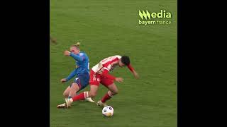 Aleksandar Pavlović - Potm Février