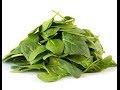 Healthiest foods to eat