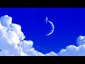 Dreamworks Bee Movie Intro Dreamworks Bee Movie Intro