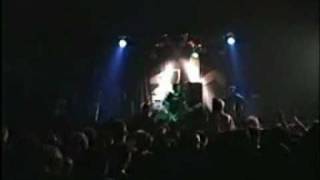 Watch Blink182 Enthused video