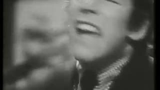 Baby Let Me Take You Home - The Animals - 1964