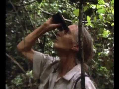 Mensaje de Jane Goodall desde Gary Larson Jane Goodall Cartoon. Mensaje de Jane Goodall desde