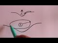 General Relativity