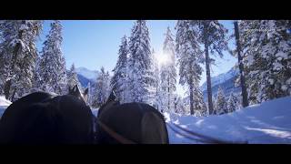 In der Pferdekutsche durch den Schnee