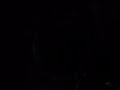 bio luminescence
