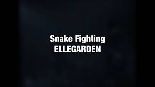 Watch Ellegarden Snake Fighting video