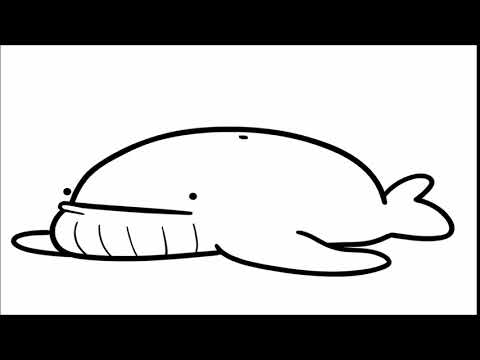 Do the Whale Dance Meme