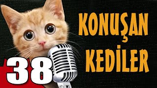 Konuşan Kediler 38 - En Komik Kedi ları