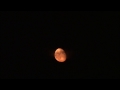 Orange Moon W Irene 7 13