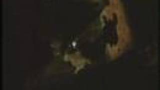 Watch Oingo Boingo Mama video