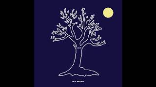 Drama (8D Audio Clean) - Roy Woods (feat. Drake)