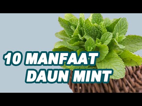 Inilah 10 Manfaat Daun Mint Untuk Kesehatan