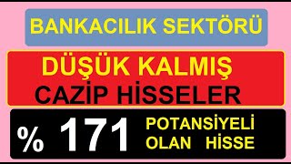 %171 Potansi̇yel Olan Hi̇sse Bankacilik Sektörü