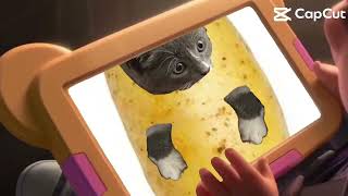Aaagh