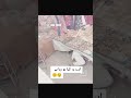viral leak video istagfirulla.pakistani boy and girl