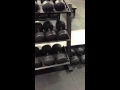 York Barbell (#69129)  3-Tier Tray Dumbbell Rack Review - Gtech Fitness