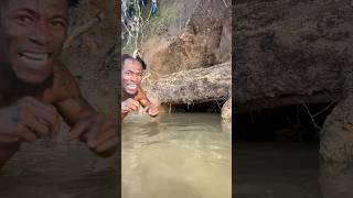 La Agresividad De Un Cangrejo Dominicano En Una Cueva De Un Río