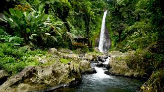 Gitgit Waterfall In Buleleng Regency Of Bali 4K. Relaxing Waterfall Sounds 10 Hours In 4K Uhd.