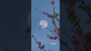 Daily Haiku - Basho