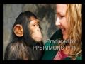 Reptile Dictionary | RM. Reptile Dictionary | RM.