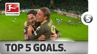 fq8GrcBbtwE Video Image