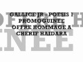 Gallice Jr - Poesis 1 PromoGuinee Offre Hommage a