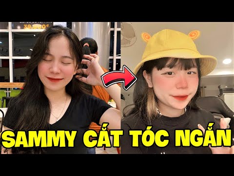PHONG CẬN PHÁT KHÓC KHI SAMMY LẦN ĐẦU CẮT TÓC NGẮN GIỐNG MÈO SIMMY VÀ CÁI KẾT