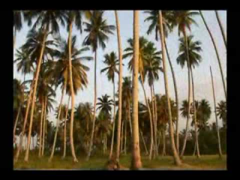 Asmaul Husna 99 Names of Allah