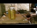 urine