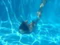 Apnoe Diving Flemming 5 years old