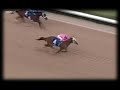 Blind Luck - Road To Oaks Success