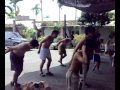 台湾アミ族の少年隊の踊り